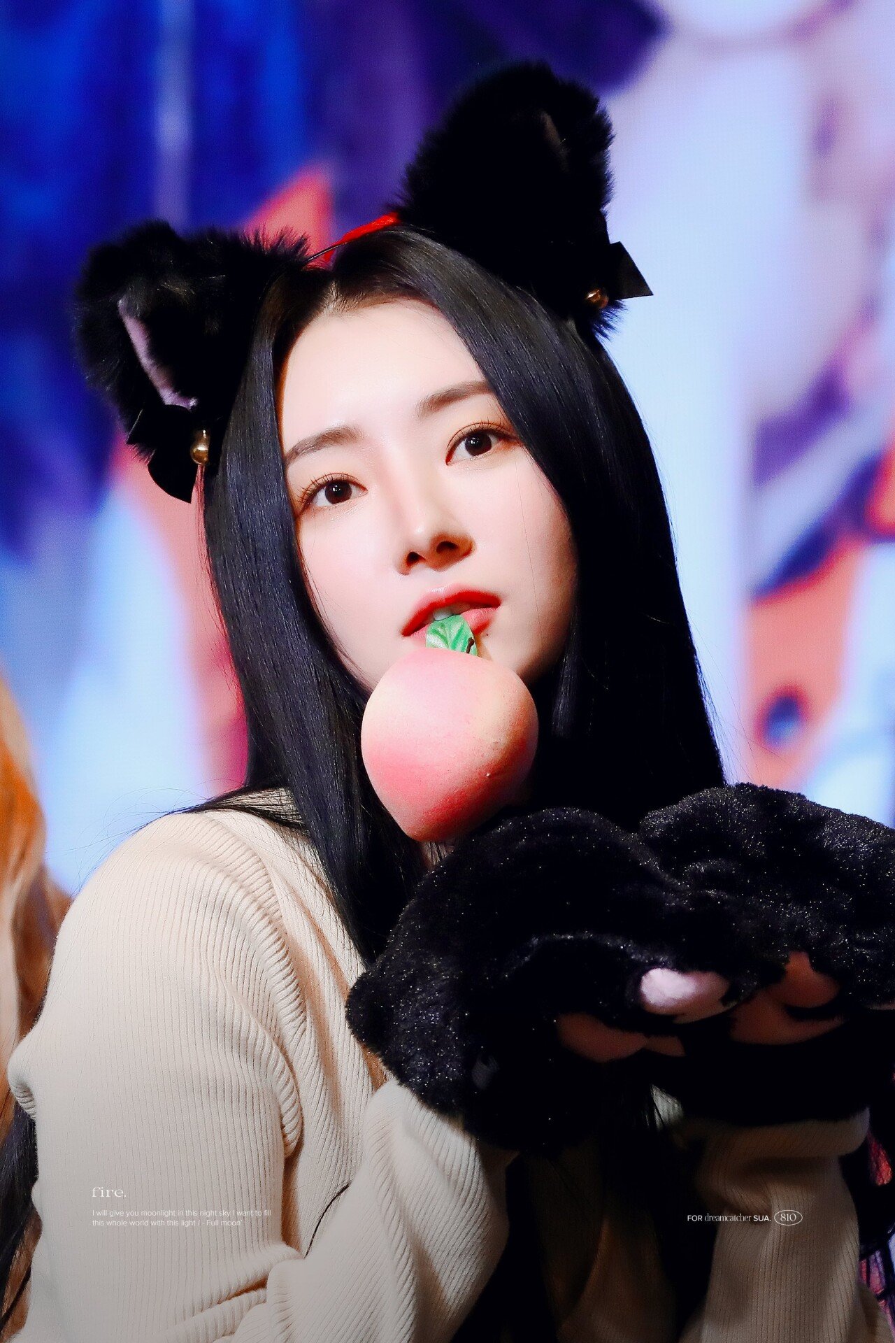 드림캐쳐 수아