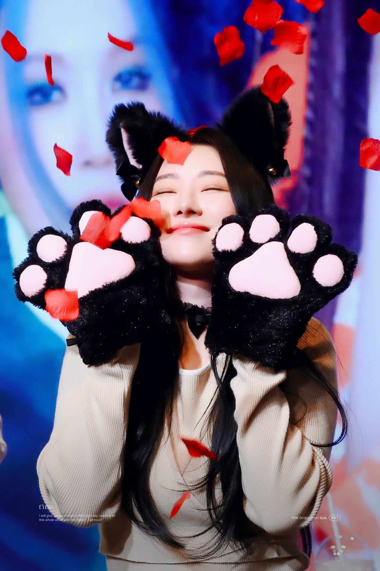 드림캐쳐 수아