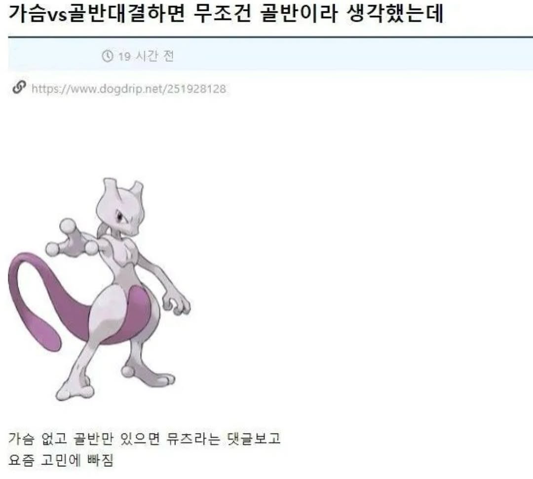 가슴vs골반 무조건 골반이라 생각했던 커뮤인