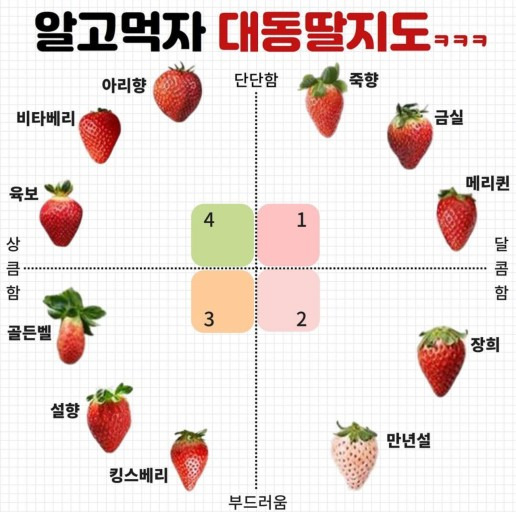 대동딸지도