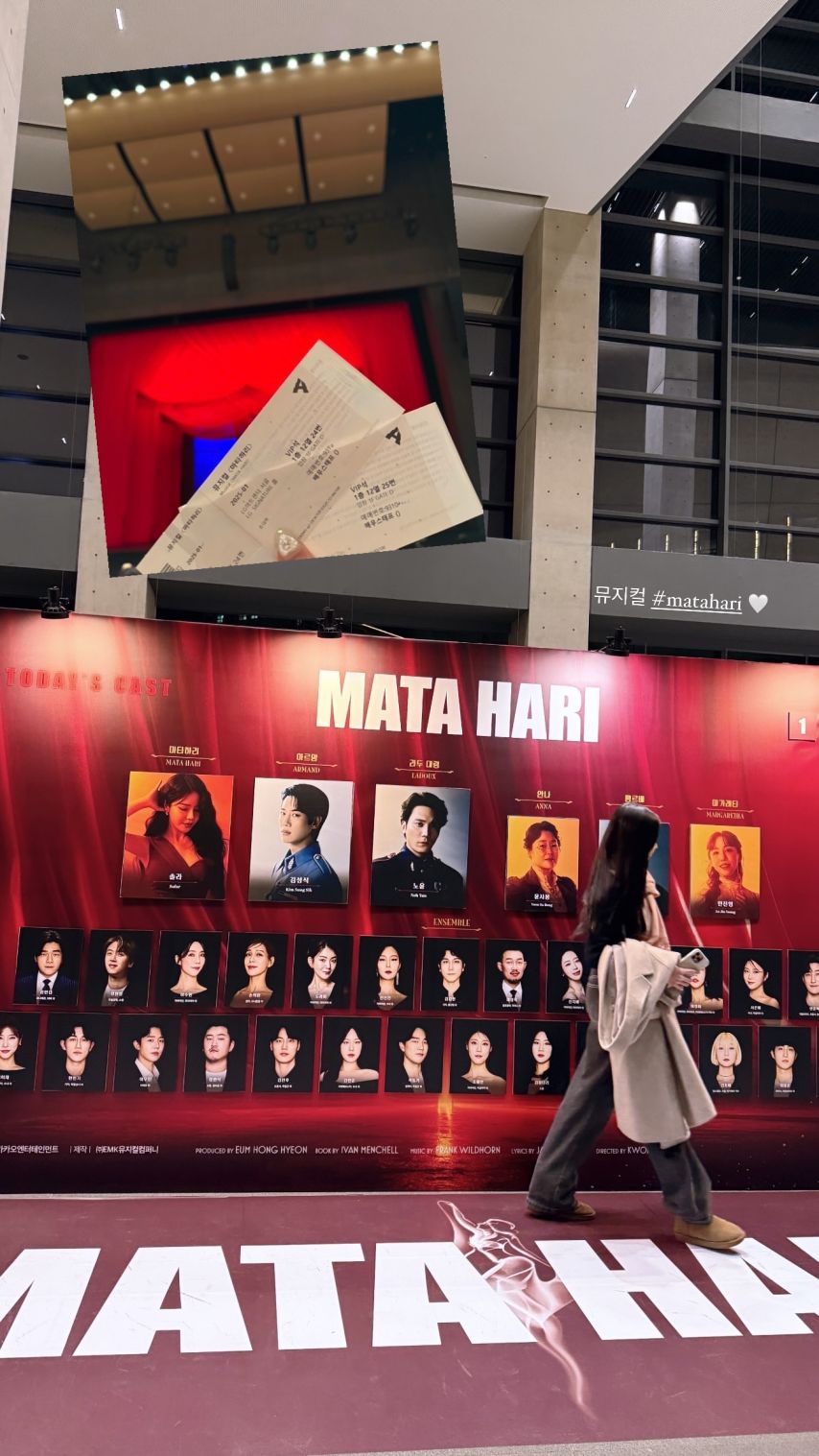 시그니처 채솔 인스타