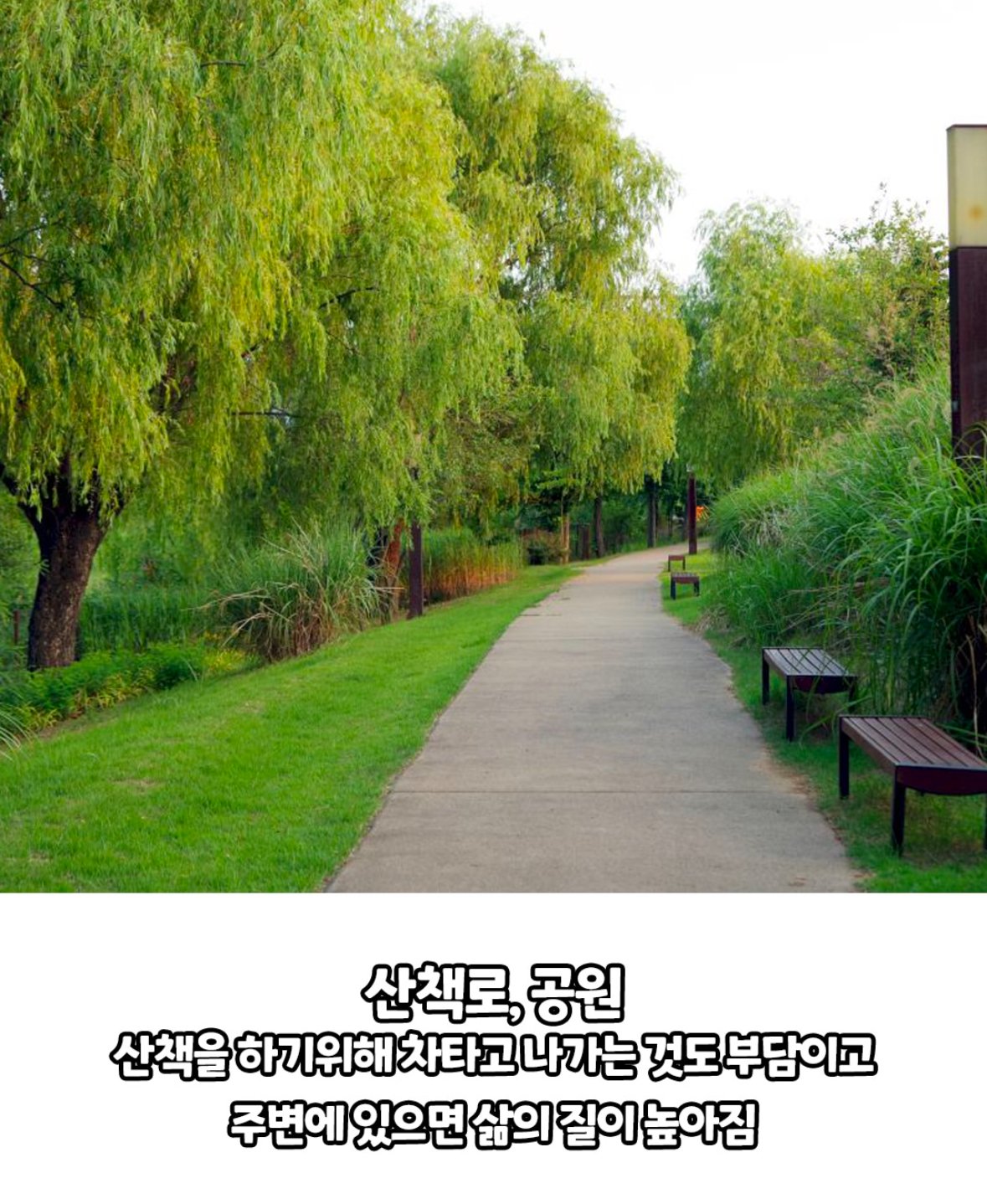 진짜 살기좋은 단지 특징.