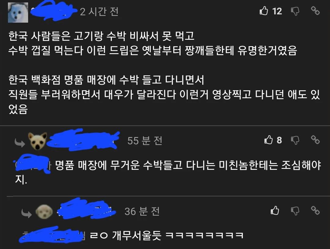 중국인들, 중국여행 온 한국인들 조롱