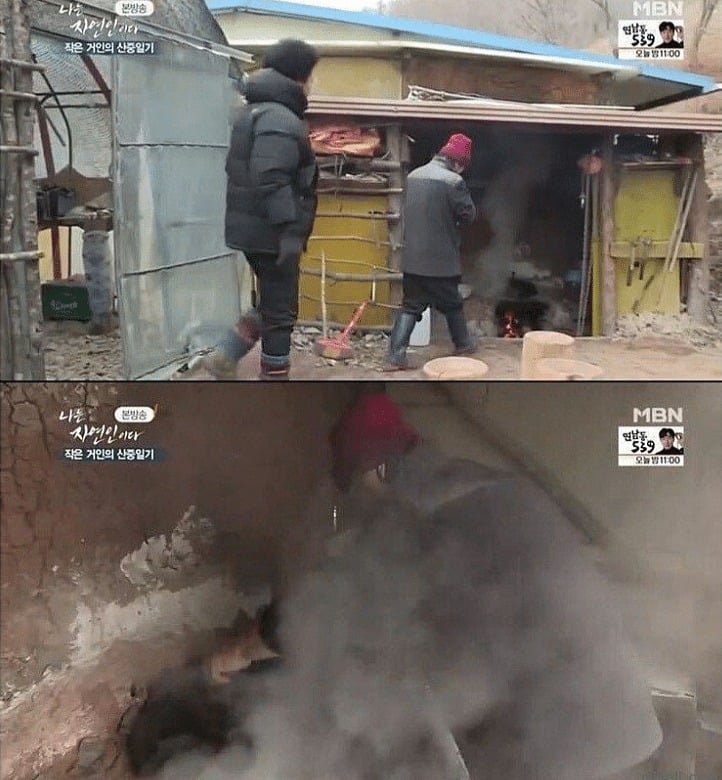고양이를 산채로 솥에 넣는 자연인