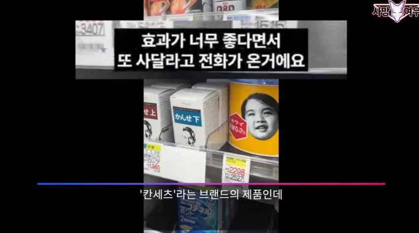 사망 여우 이번 영상 ㅈㄴ 얼탱이 없네