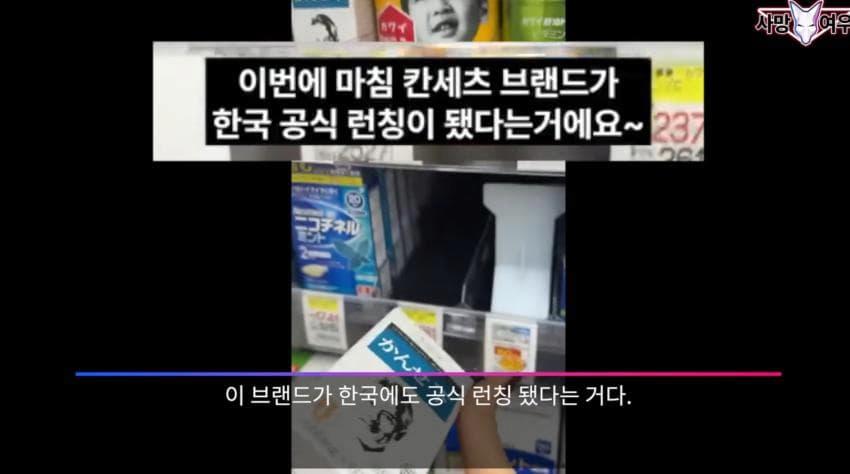 사망 여우 이번 영상 ㅈㄴ 얼탱이 없네