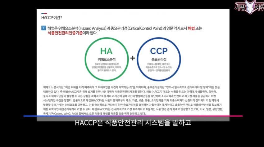 사망 여우 이번 영상 ㅈㄴ 얼탱이 없네