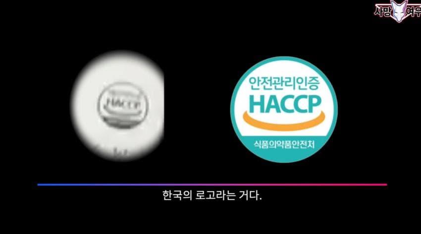 사망 여우 이번 영상 ㅈㄴ 얼탱이 없네