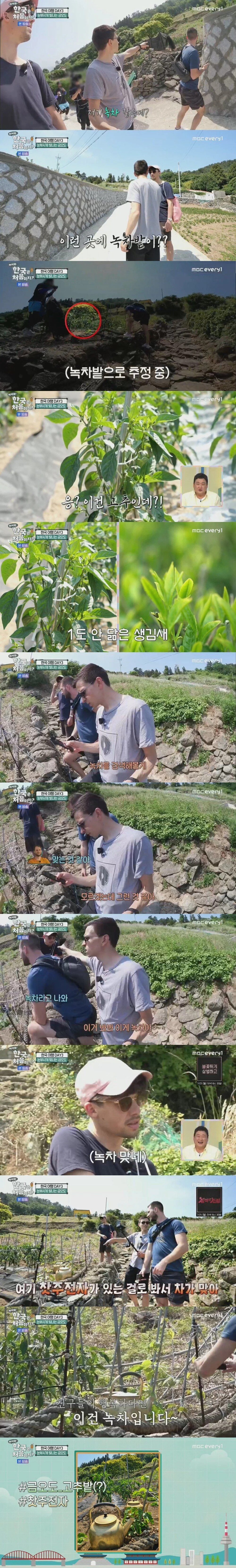 한국 여행와서 오해만 쌓고 돌아가는 독일인들