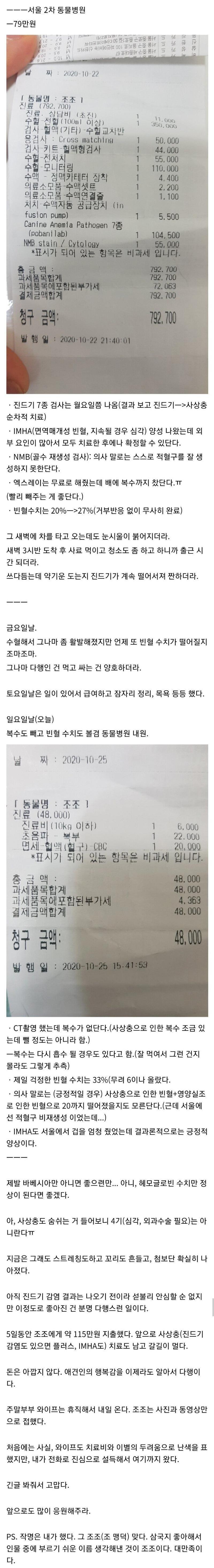유기견 치료에 150만원을 쓴 디시인