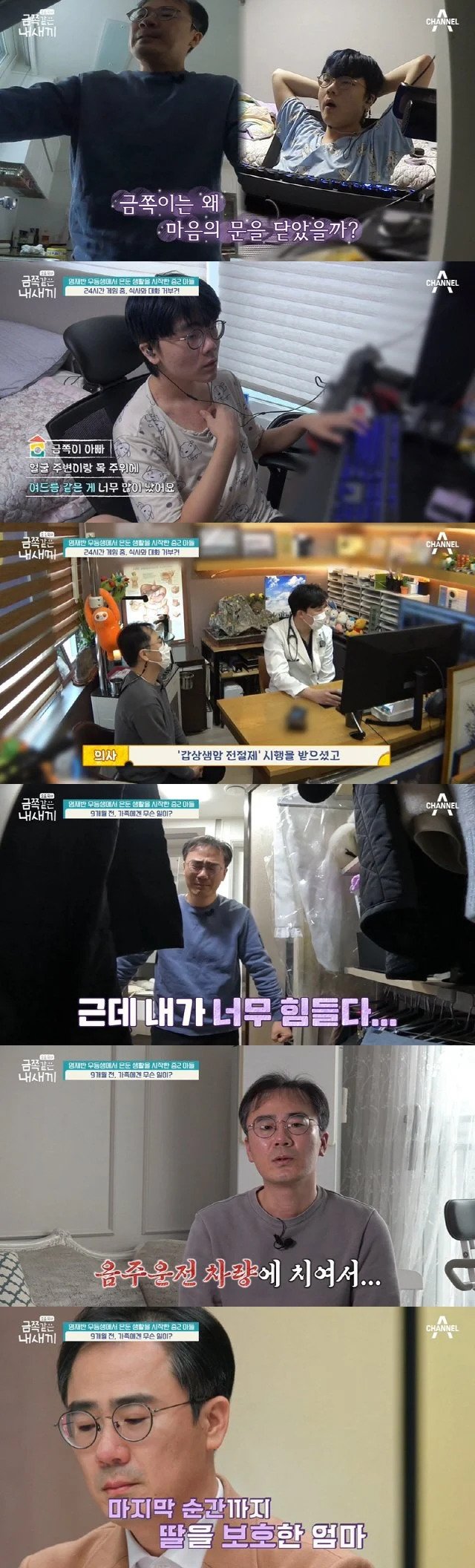 금쪽이 방송중 가장 슬펐던 회차