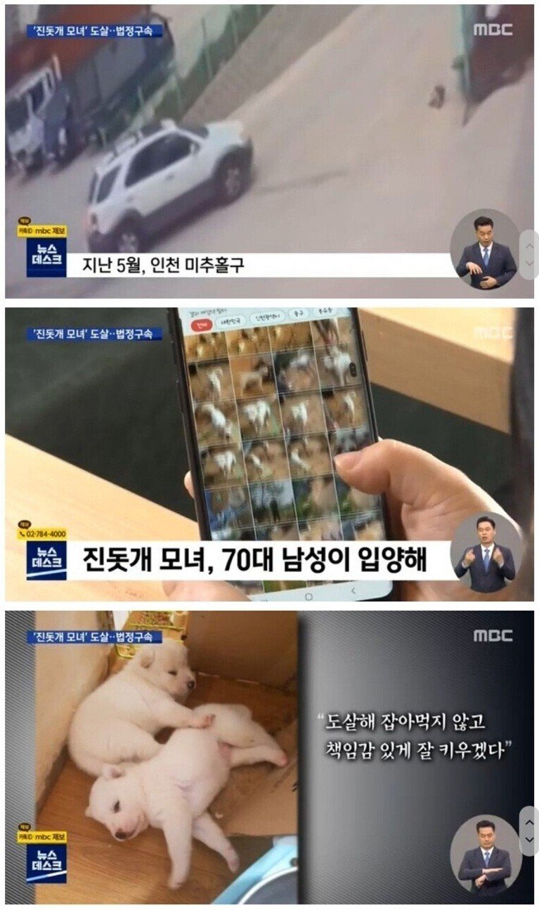 개고기에 미쳐버린 70대 사례