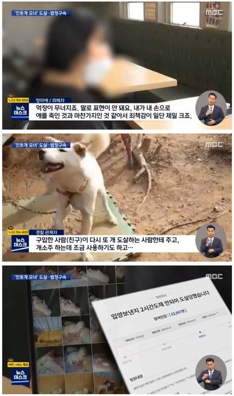 개고기에 미쳐버린 70대 사례