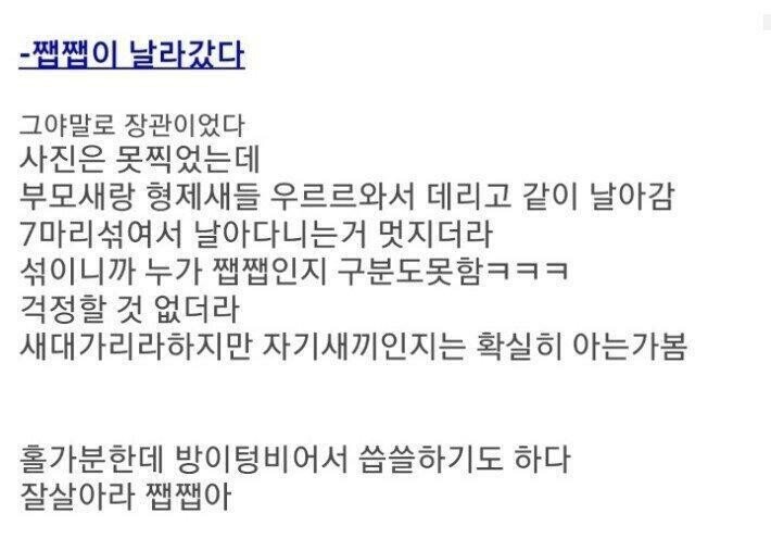 안흔한 디씨인의 새줍 후기
