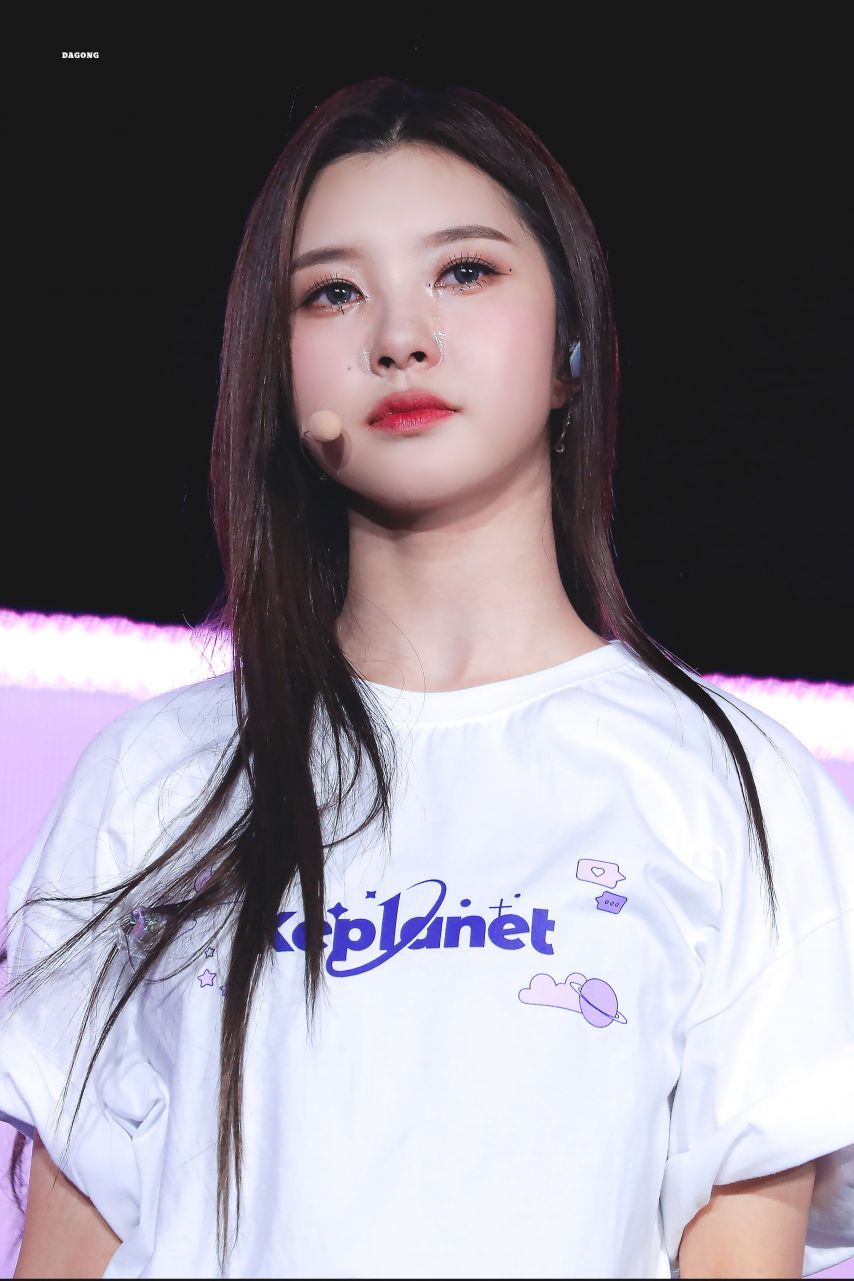 케플러 김다연