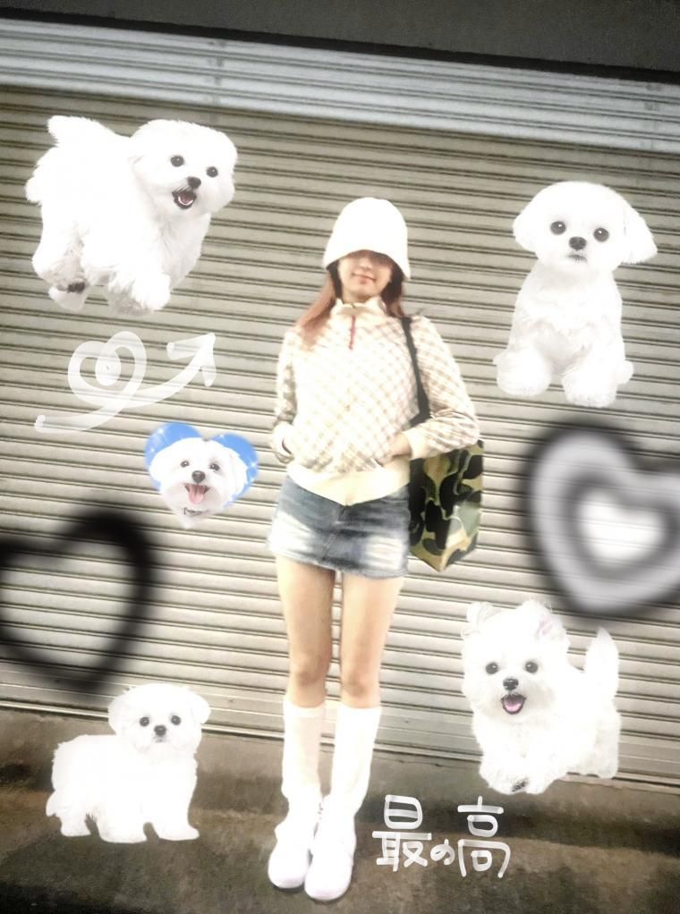 아이브 레이