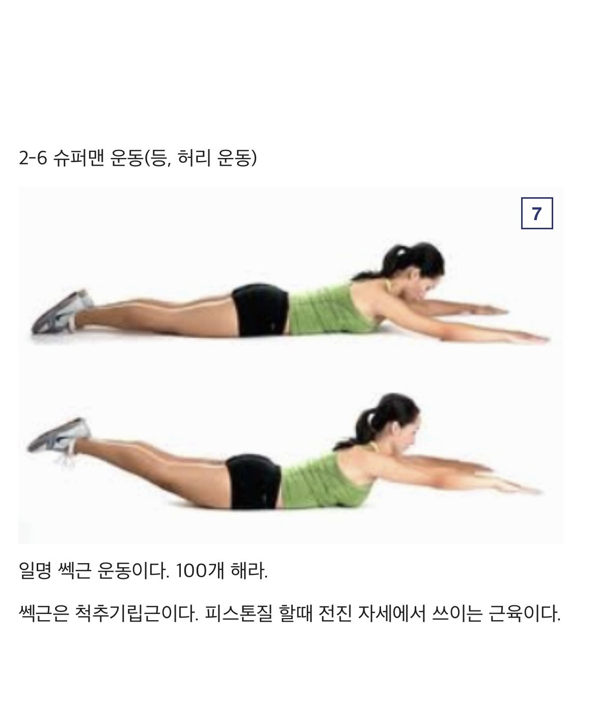 디시인의 파워ㅅㅅ를 위한 운동