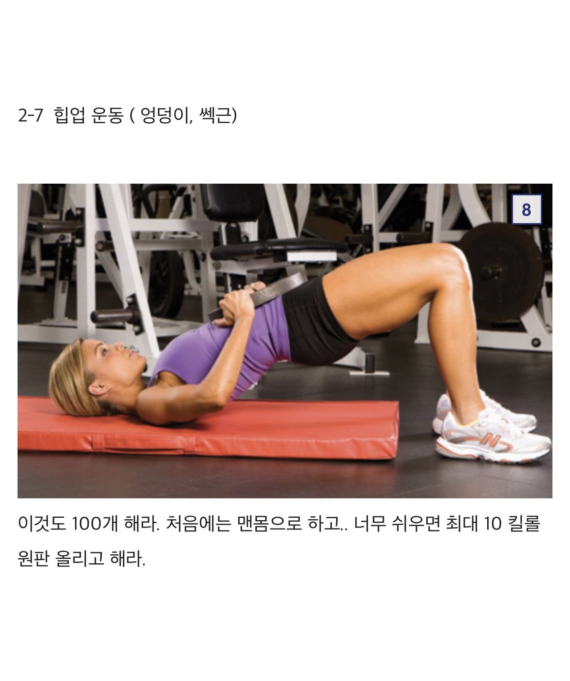 디시인의 파워ㅅㅅ를 위한 운동
