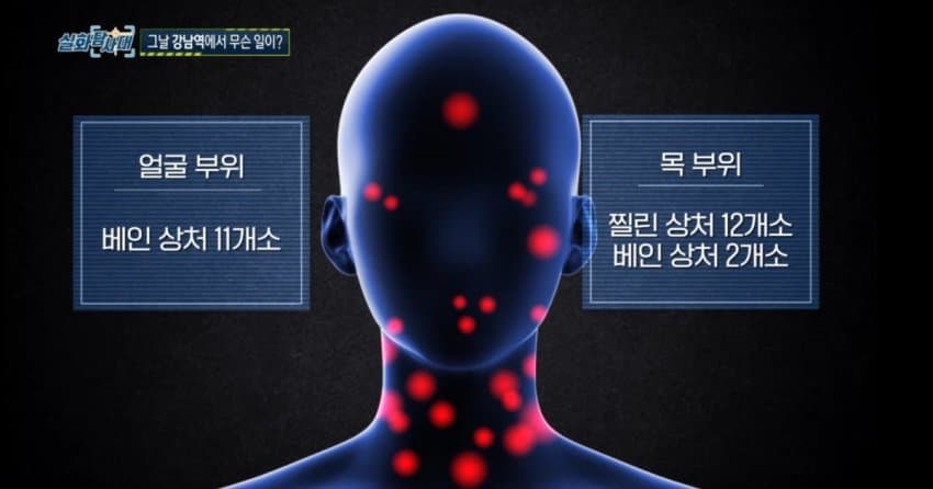 사람들이 아는것보다 훨씬 잔인했던 강남역 의대생 살인사건..