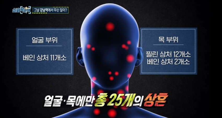 사람들이 아는것보다 훨씬 잔인했던 강남역 의대생 살인사건..