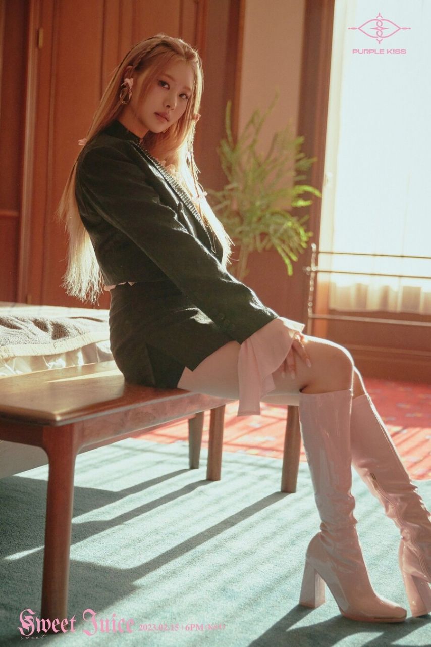 퍼플키스 수안