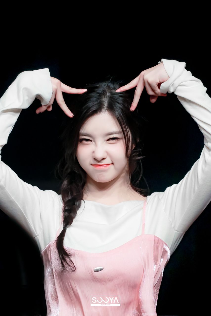 케플러 김다연