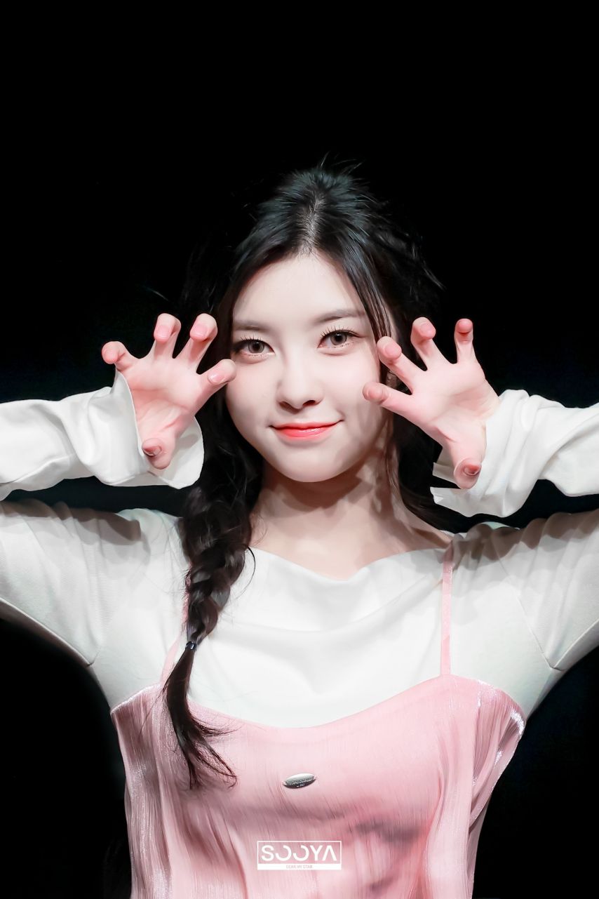 케플러 김다연