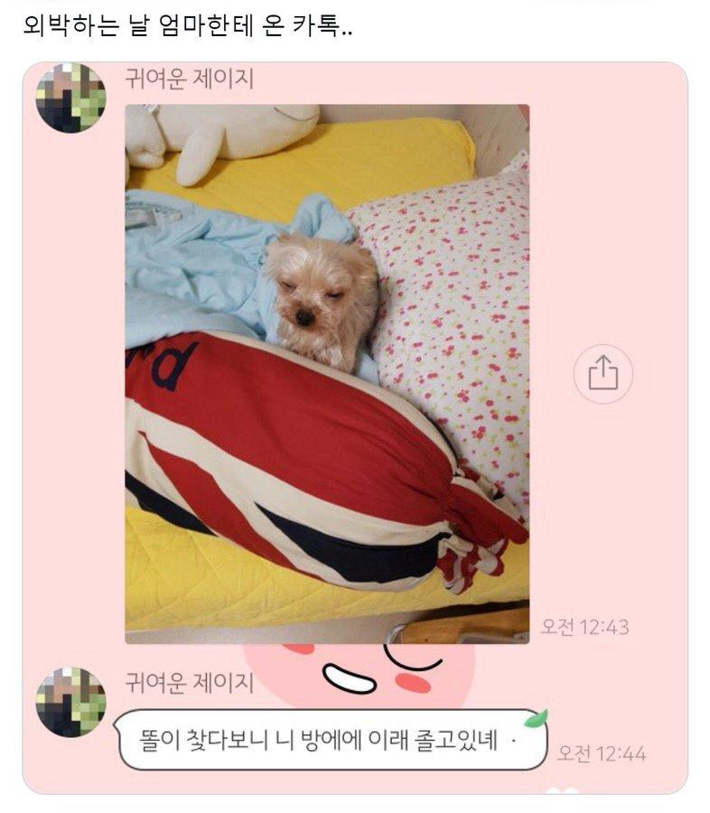 외박하는 날 엄마한테 온 카톡 ㅠㅠㅠ