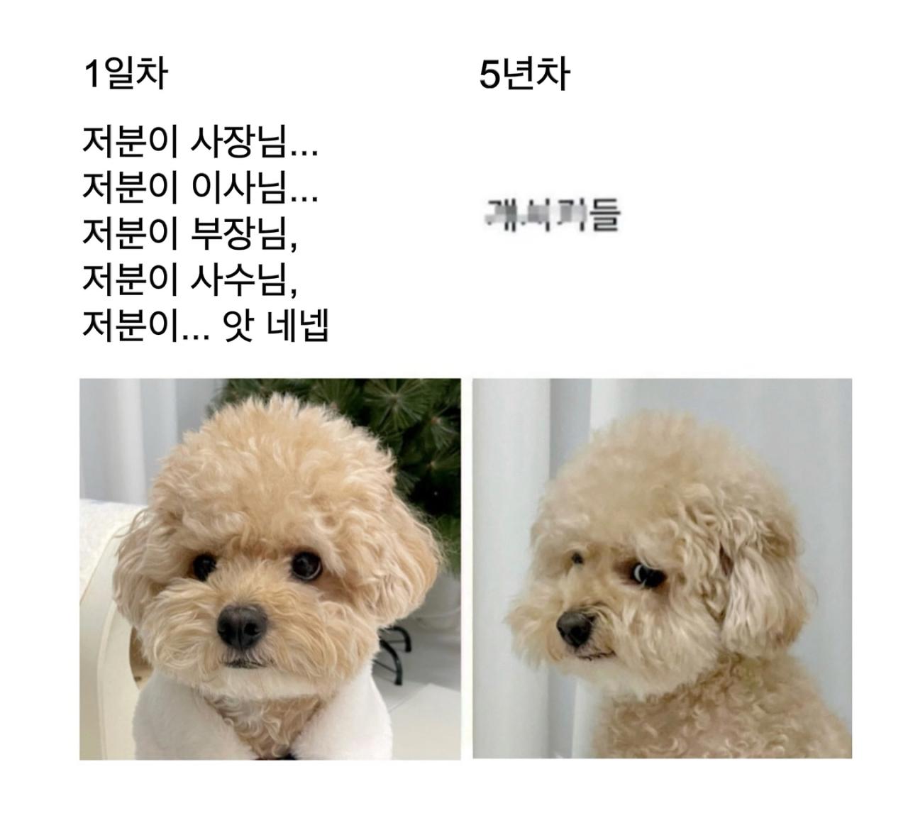 직장생활 1일차 VS 5년차 ㄷㄷㄷ