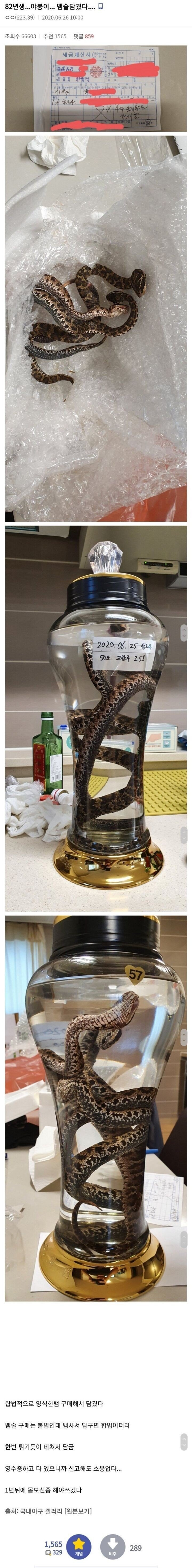 혐주의)디시인 담금주 개봉기