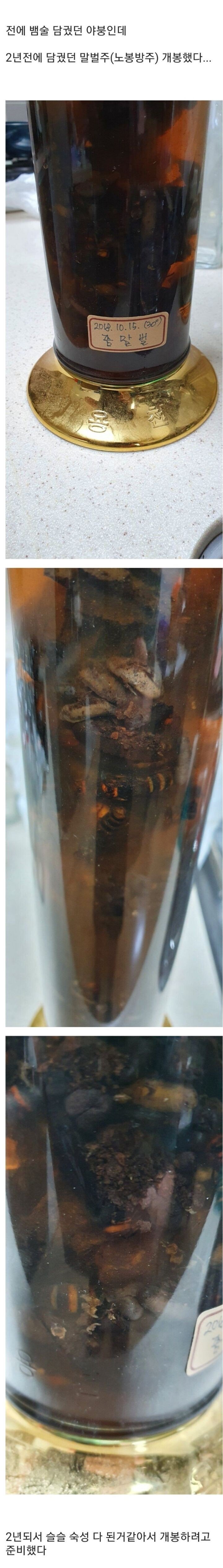 혐주의)디시인 담금주 개봉기