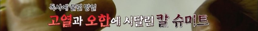 독사에 물렸는데도 치료 거부한 뱀 연구학자