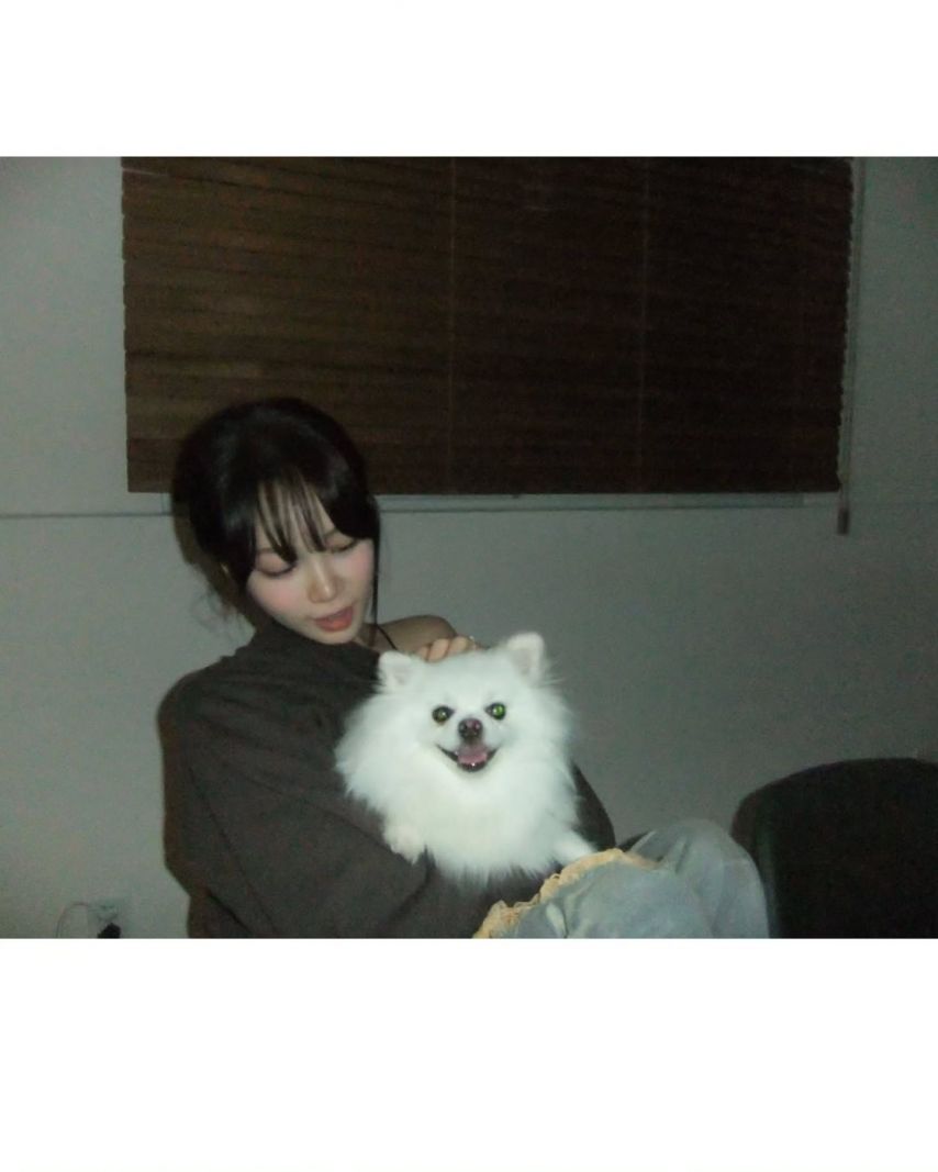 르세라핌 김채원