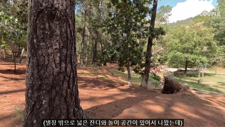 한국인 유튜버가 멕시코 별장 갔다가 생긴 일