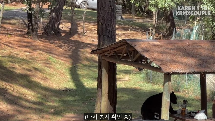 한국인 유튜버가 멕시코 별장 갔다가 생긴 일