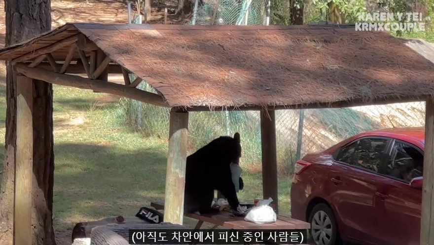 한국인 유튜버가 멕시코 별장 갔다가 생긴 일