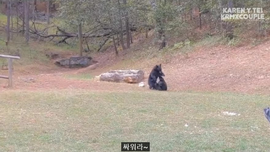 한국인 유튜버가 멕시코 별장 갔다가 생긴 일