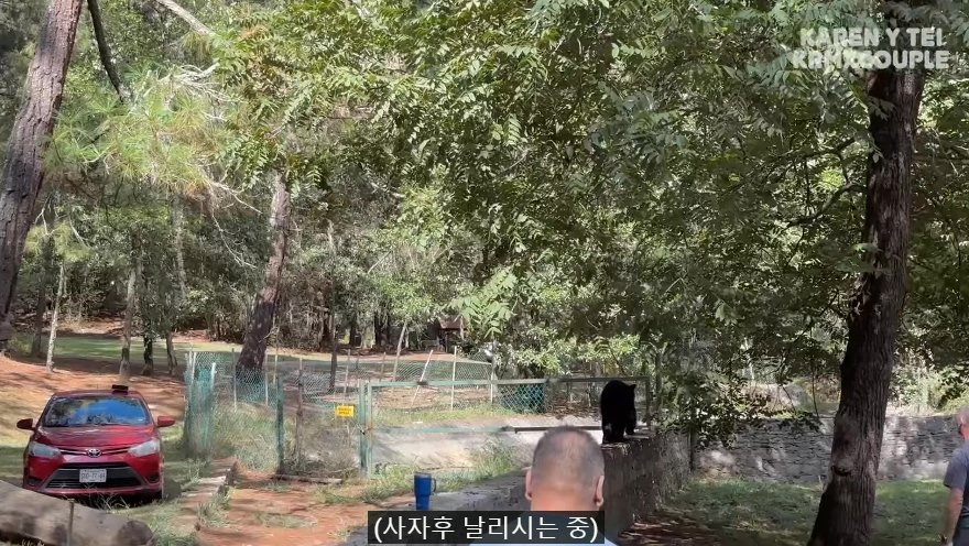 한국인 유튜버가 멕시코 별장 갔다가 생긴 일
