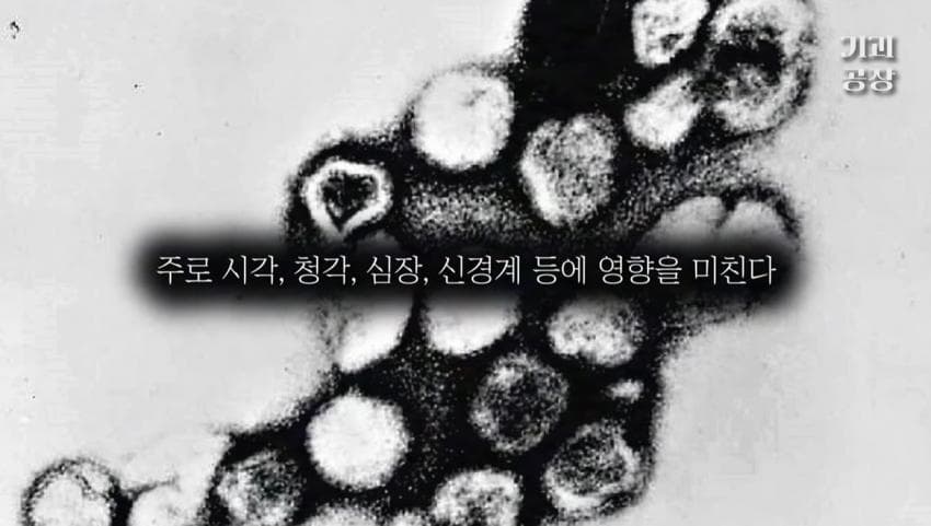 스압)팬에게 키스 당한 여배우의 결말