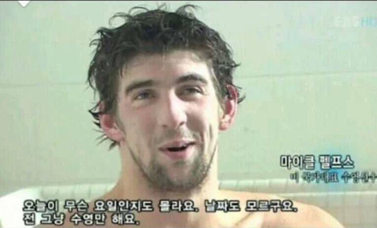 요즘 보디빌딩계 저격하는 디시인 ㄷㄷㄷ