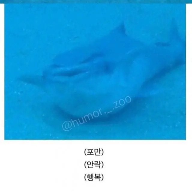 인간 덕분에 꿀빨고 있는 생물
