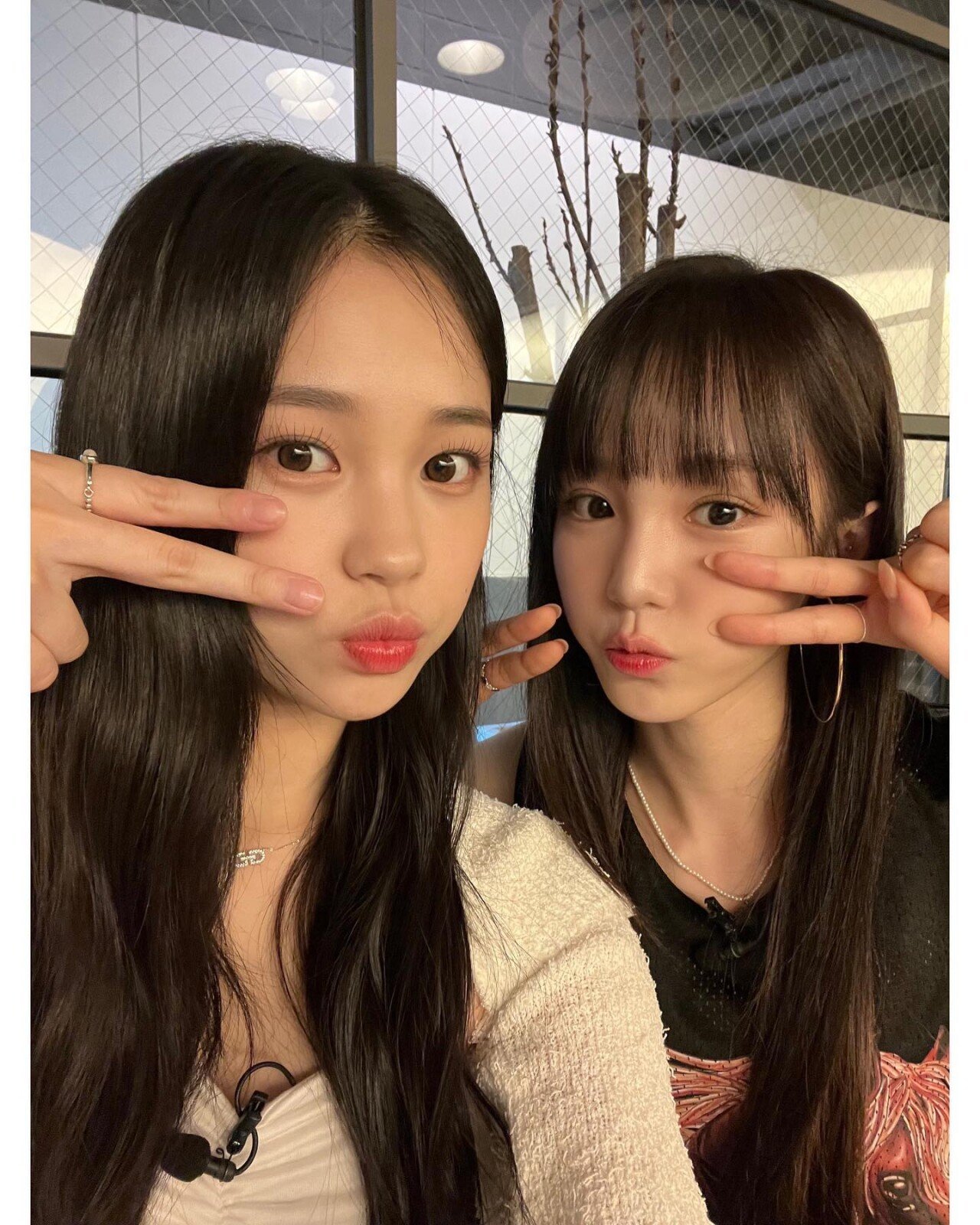 위클리 지한