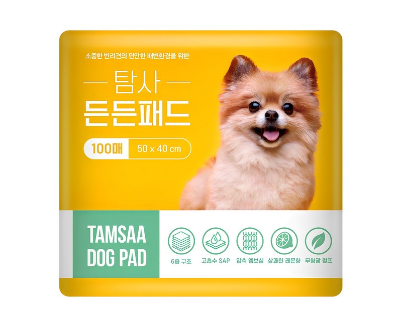 탐사 고흡수 든든패드 레몬향, 100개입, 1개