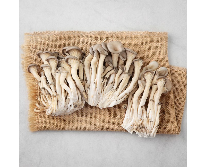 국내산 무농약 느타리버섯, 200g, 1개