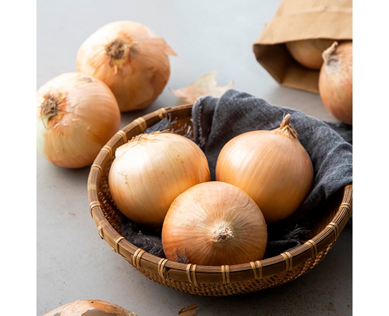 국내산 양파, 1.5kg, 1개