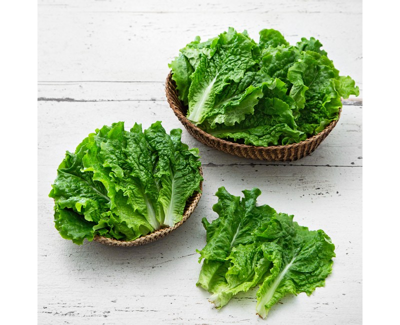국내산 청상추, 200g, 1개