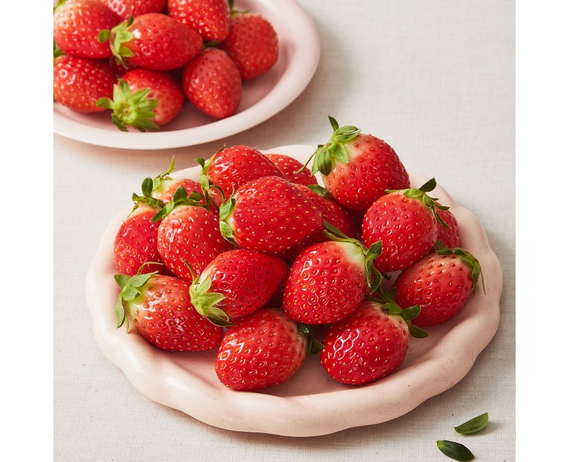 설향 딸기 중과, 500g, 1팩