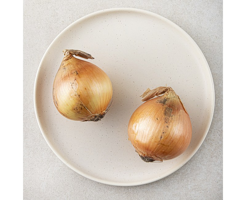 국내산 양파, 300g, 1개