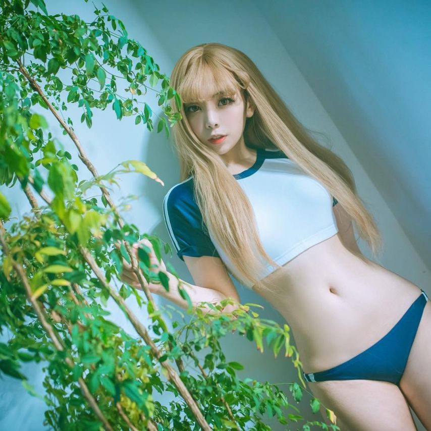 BJ 다미다미