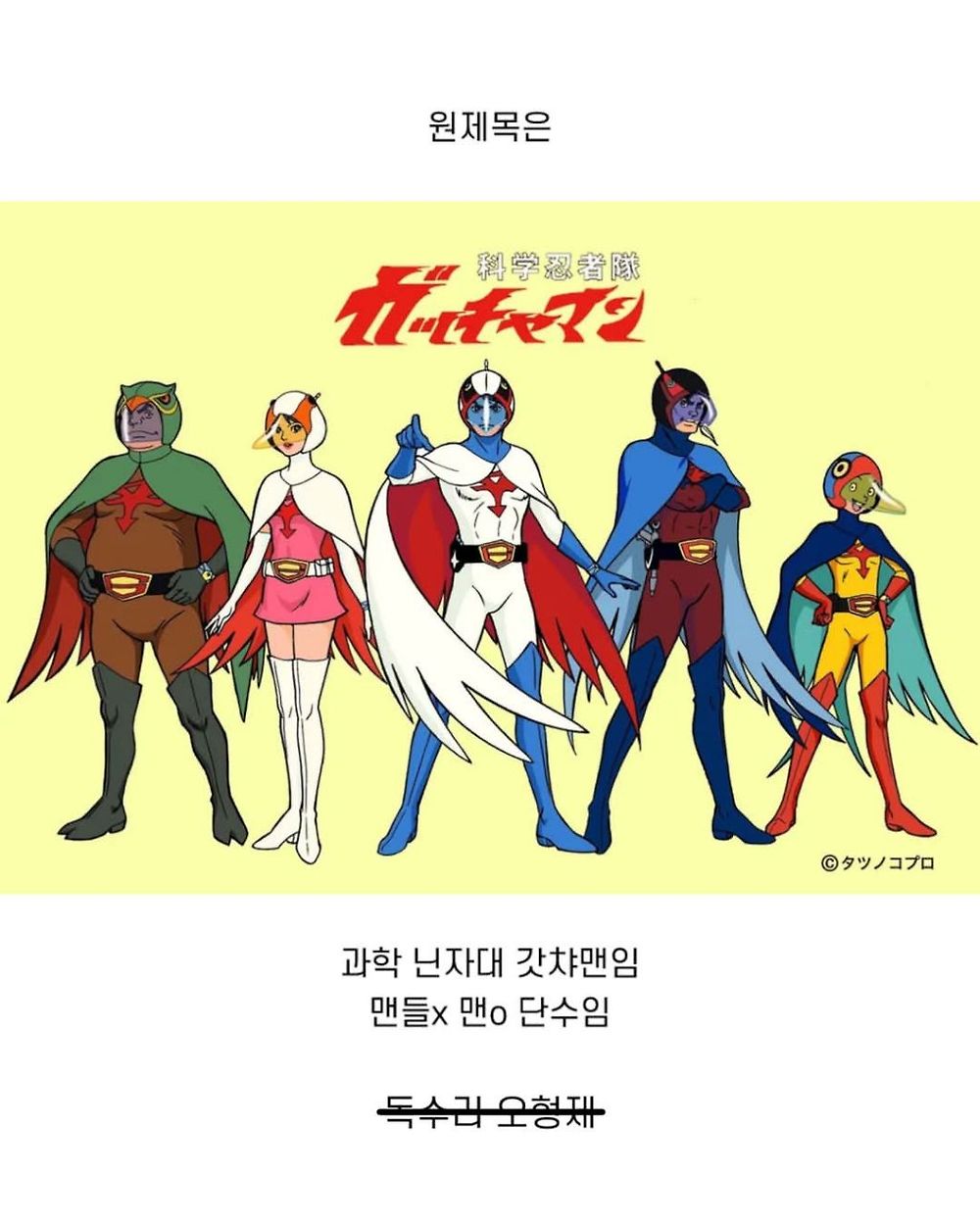 독수리 오형제에 관한 tmi